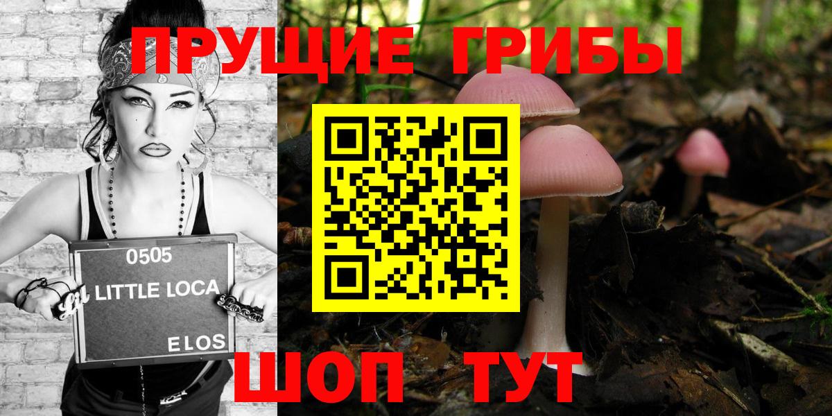 Галлюциногенные грибы Psilocybine cubensis  Галлюциногенные грибы Cubensis  Вход с VPN  Мурино 