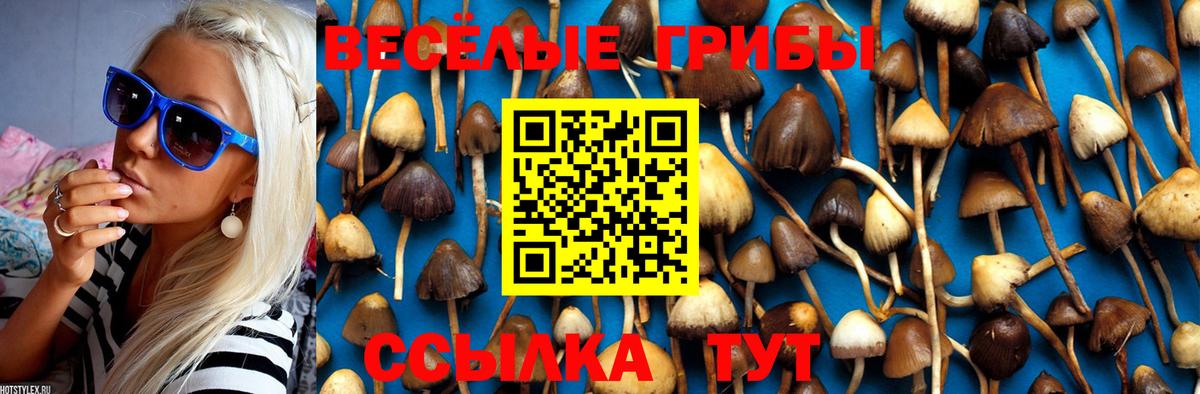 APVP Мурино