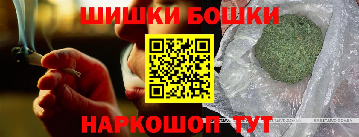 Бошки Шишки гибрид Мурино